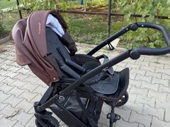 Carut Lexxo Krausman